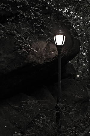 Print Fine Art Photography David Stewart Photography New York NYC - Curfew in the park