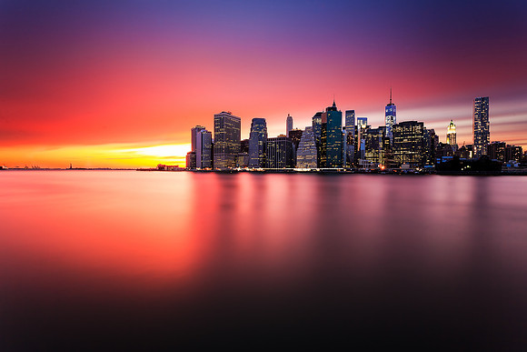 New York Rose Sunset