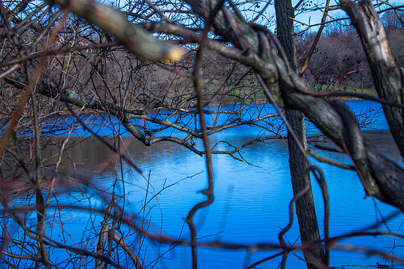 Print Fine Art Photography David Stewart Photography New York NYC - Just Through Those Trees