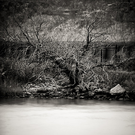 Lone